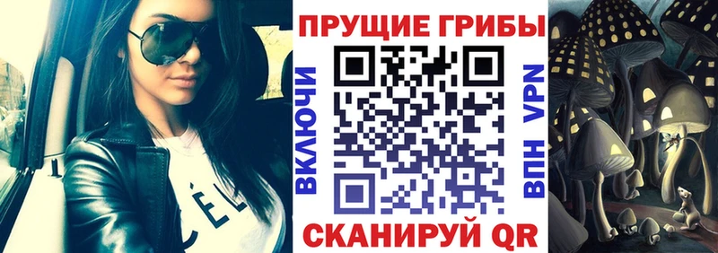 магазин Волжский Псилоцибиновые грибы Psilocybe